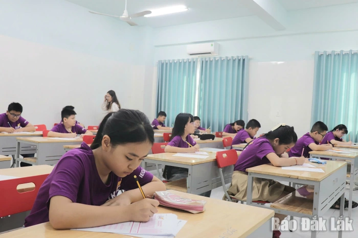 Gần 200 học sinh Đắk Lắk tham gia Kỳ thi Toán quốc tế Kangaroo 2026