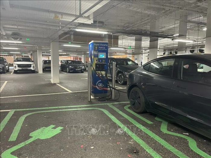 Xung đột Trung Đông thúc đẩy tiến trình chuyển dịch năng lượng tái tạo