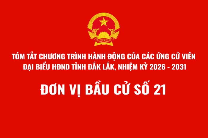 (Infographic) Tóm tắt Chương trình hành động của các ứng cử viên đại biểu HĐND tỉnh Đắk Lắk, nhiệm kỳ 2026 - 2031 - Đơn vị bầu cử số 21