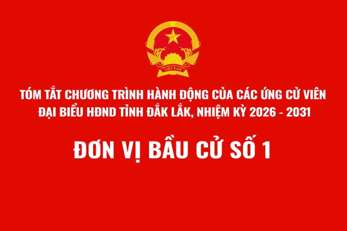 (Infographic) Tóm tắt Chương trình hành động của ứng cử viên đại biểu HĐND tỉnh Đắk Lắk, nhiệm kỳ 2026-2031 - Đơn vị bầu cử số 1