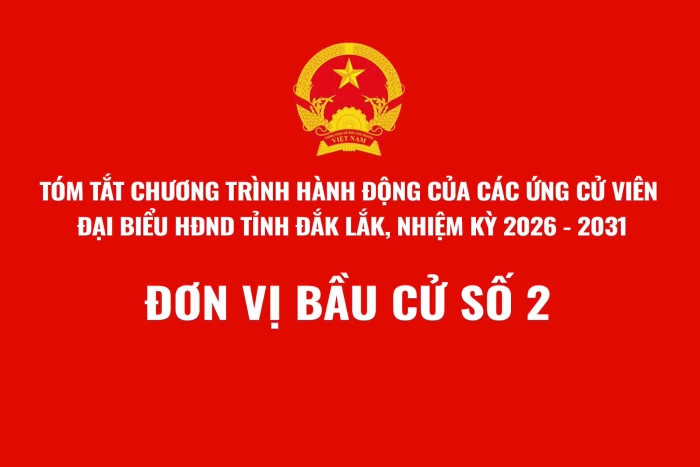 (Infographic) Tóm tắt Chương trình hành động của ứng cử viên đại biểu HĐND tỉnh Đắk Lắk, nhiệm kỳ 2026-2031 - Đơn vị bầu cử số 2