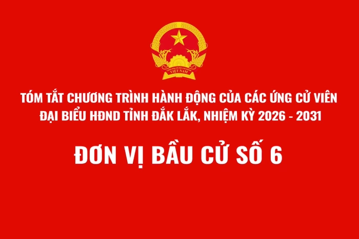 (Infographic) Tóm tắt Chương trình hành động của ứng cử viên đại biểu HĐND tỉnh Đắk Lắk, nhiệm kỳ 2026-2031 - Đơn vị bầu cử số 6