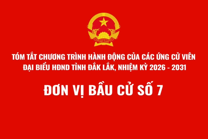 (Infographic)Tóm tắt Chương trình hành động của ứng cử viên đại biểu HĐND tỉnh Đắk Lắk, nhiệm kỳ 2026-2031 - Đơn vị bầu cử số 7