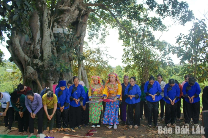 Thiêng liêng lễ cúng thổ công của người Tày, Nùng