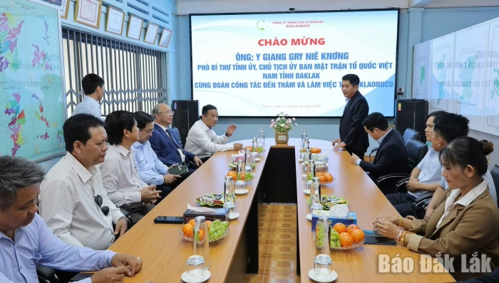 Lãnh đạo tỉnh làm việc với Công ty TNHH Cao su Đắk Lắk tại Lào