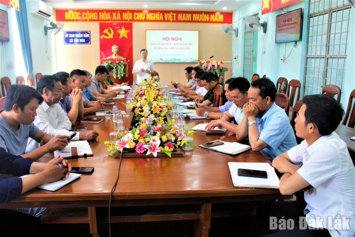 Vân Hòa quy hoạch vùng trồng mía thuận lợi giao thông và nước tưới