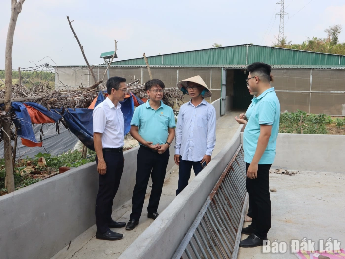 Tín dụng tam nông: “Bà đỡ” cho nông dân