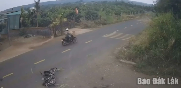 Vụ tai nạn khiến học sinh lớp 12 tử vong: Xe gắn máy “độ” dung tích xi-lanh gấp 3 lần