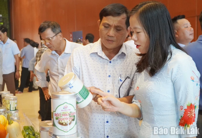 Kết nối, mở rộng thị trường