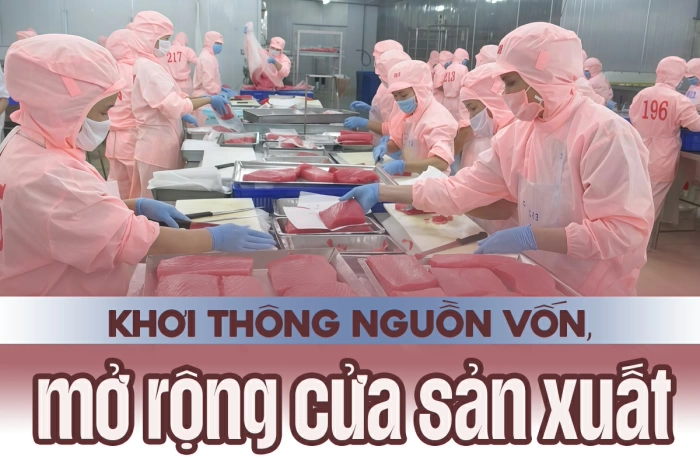 Khơi thông nguồn vốn, mở rộng cửa sản xuất