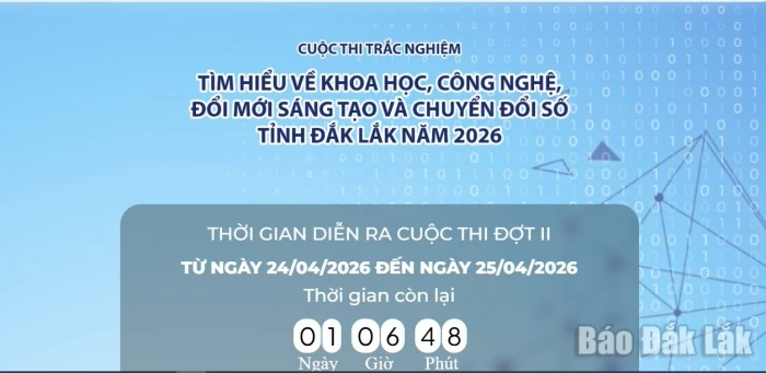 Cuộc thi 