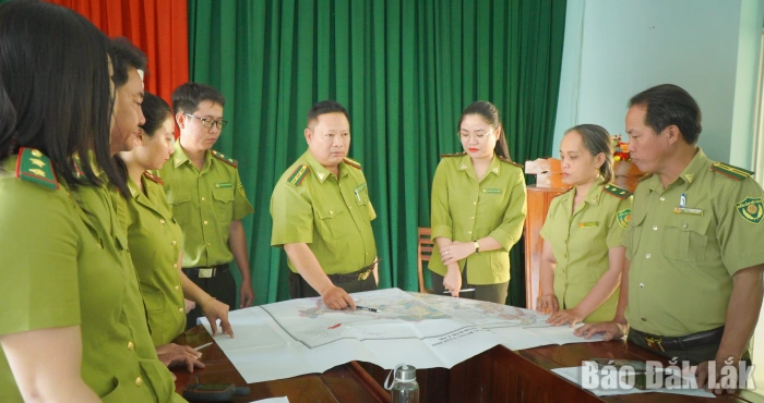 Hạt Kiểm lâm khu vực Sơn Hòa đẩy mạnh tuyên truyền pháp luật về lâm nghiệp