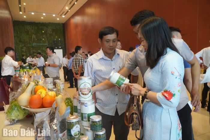 Đắk Lắk có 1 ngôi sao hợp tác xã toàn quốc năm 2026 và 1 sản phẩm hợp tác xã đạt giải Mai An Tiêm