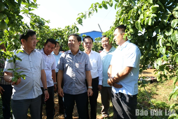 Đột phá tư duy xây dựng nông thôn mới