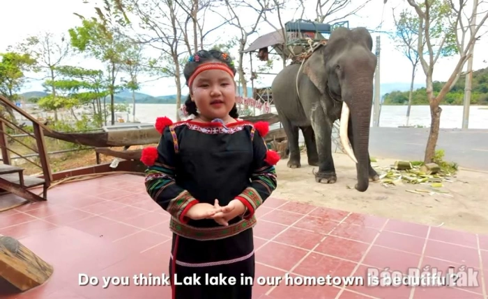 Đắk Lắk có 2 học sinh vào vòng khu vực Cuộc thi “Thiếu nhi Việt Nam - Vươn ra thế giới”