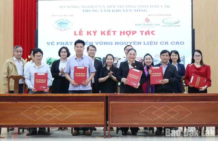 Liên kết mở rộng vùng nguyên liệu ca cao