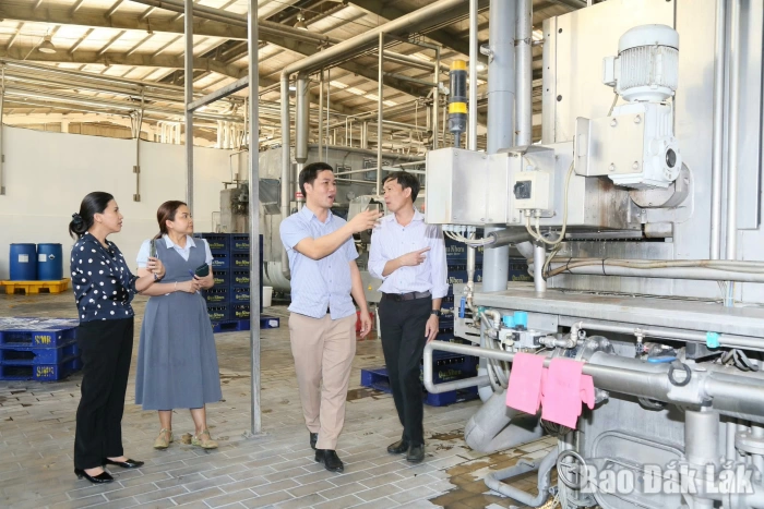 Kiểm tra liên ngành về bảo đảm an toàn thực phẩm tại 3 phường, 9 xã trên địa bàn tỉnh