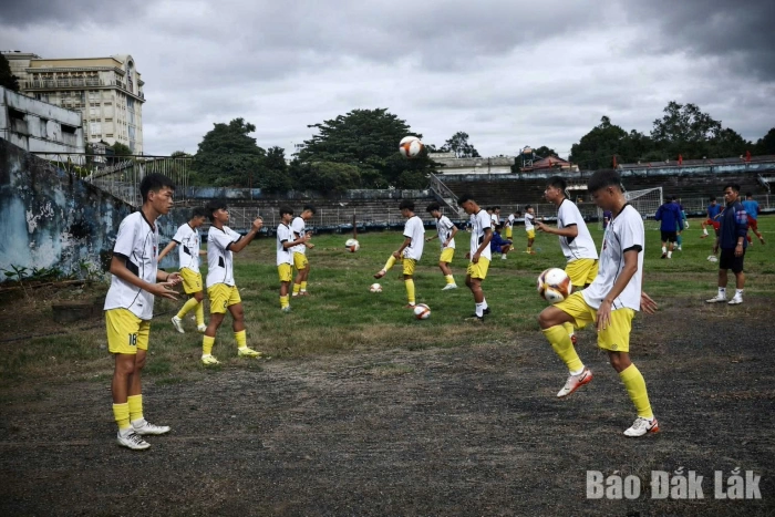 Học cách làm chuyên nghiệp ngay từ đầu