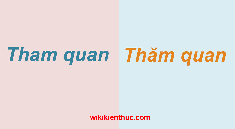Qua cách dùng từ &quote;thăm quan&quote;, nghĩ về hiện tượng “gãy khúc” ngữ nghĩa trong tiếng Việt