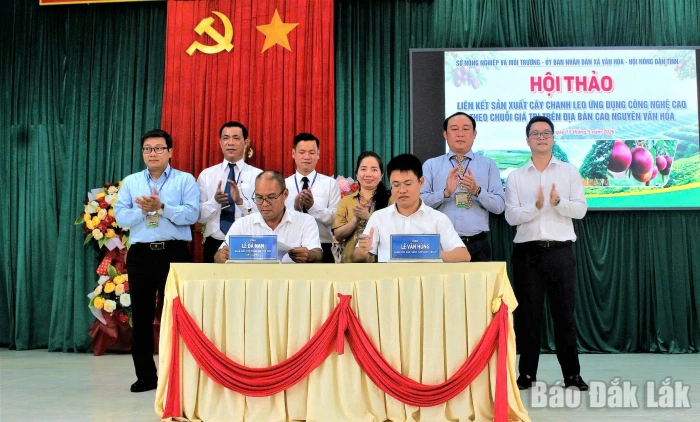 Thúc đẩy liên kết chuỗi giá trị cây chanh leo tại Vân Hòa