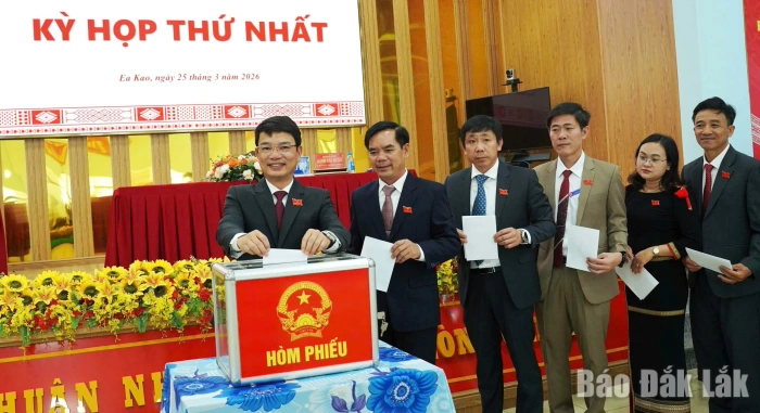 Nâng cao năng lực đại biểu dân cử ở cơ sở
