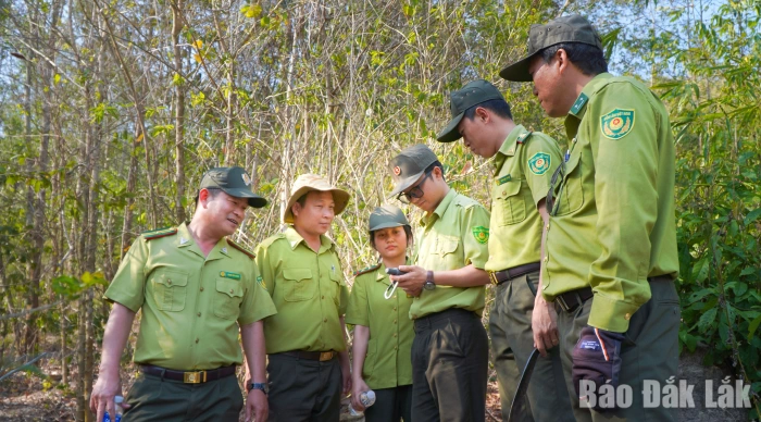 Rừng đặc dụng Krông Trai giảm “độ nóng” vi phạm Luật Lâm nghiệp