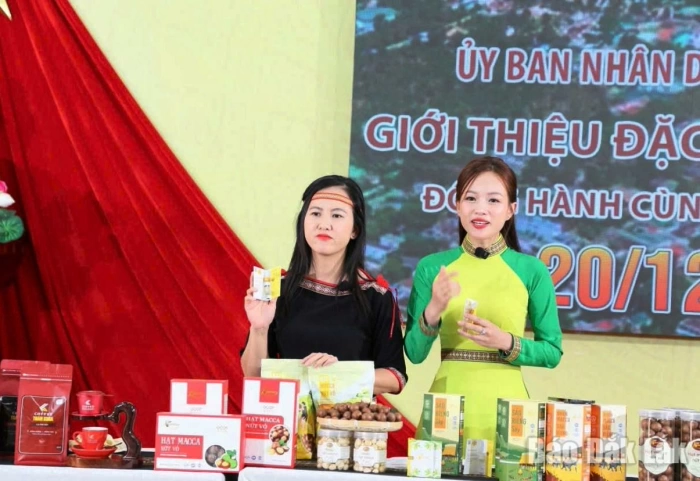 Chính quyền đồng hành cùng doanh nghiệp trong kỷ nguyên số