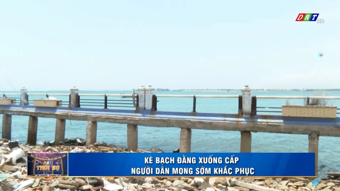 Thời sự 11h30 ngày 20/5/2026
