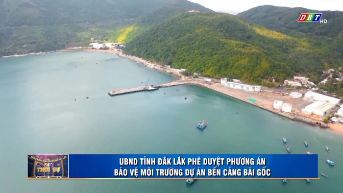 Thời sự 11h30 ngày 25/5/2026