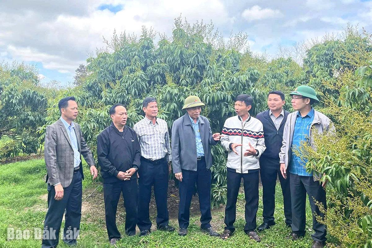 Hiệu quả tổ, hội nghề nghiệp 
 trong phát triển kinh tế tập thể