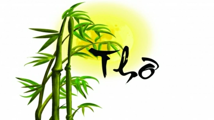 Mưa quê
