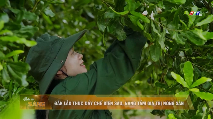 Bản tin sáng ngày 25/6/2026