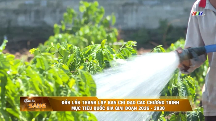 Bản tin sáng ngày 16/6/2026