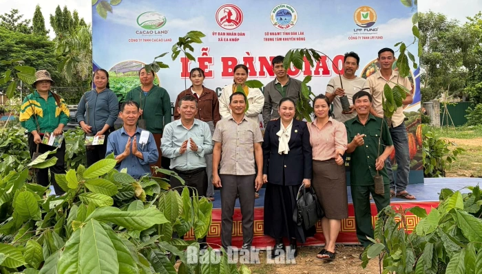 Xã Ea Knốp bàn giao 12.600 cây giống ca cao cho nông dân