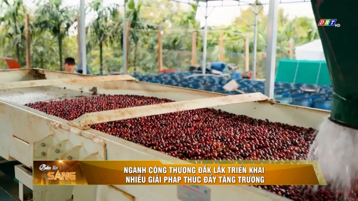 Bản tin sáng ngày 13/7/2026