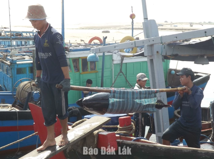 Tập trung
gỡ “thẻ vàng” 
cho ngành thủy sản