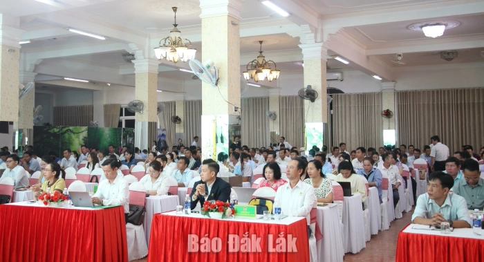 Đổi mới hoạt động chi hội nông dân đáp ứng yêu cầu giai đoạn mới