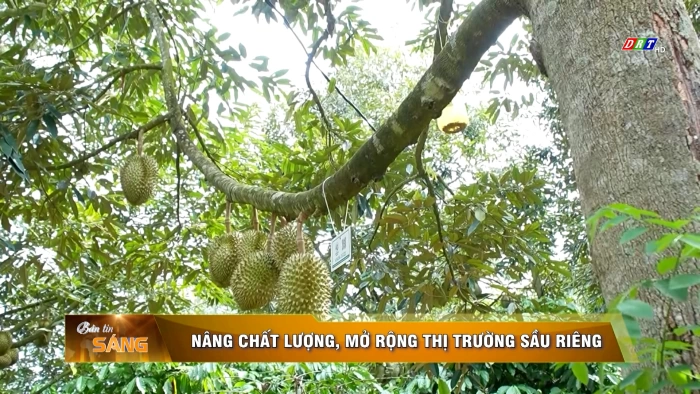 Bản tin sáng ngày 26/8/2026