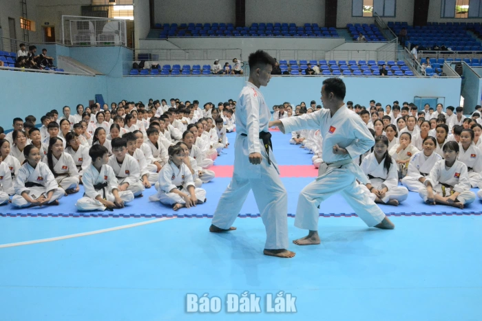 Hơn 370 võ sinh thi thăng đẳng quốc gia môn karate
