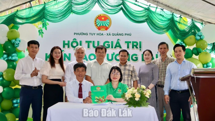 Kết nối sản xuất, tiêu thụ nông sản giữa phường Tuy Hòa và xã Quảng Phú