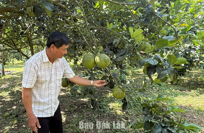Viết tiếp bài ca xây dựng quê hương...
