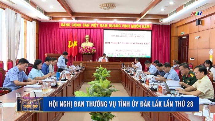 Thời sự 11h30 ngày 26/8/2026