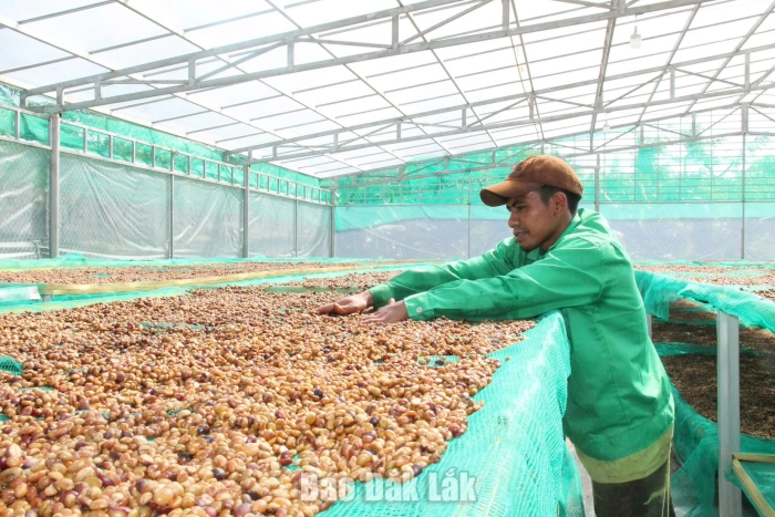 Dư địa tăng trưởng mới