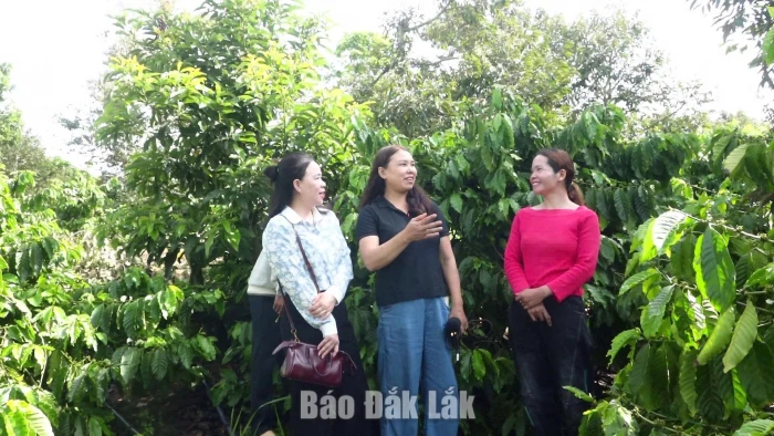 Vốn ưu đãi mở hướng thoát nghèo bền vững