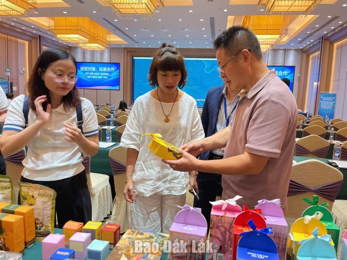 Connecting enterprises in Dak Lak and Guangxi