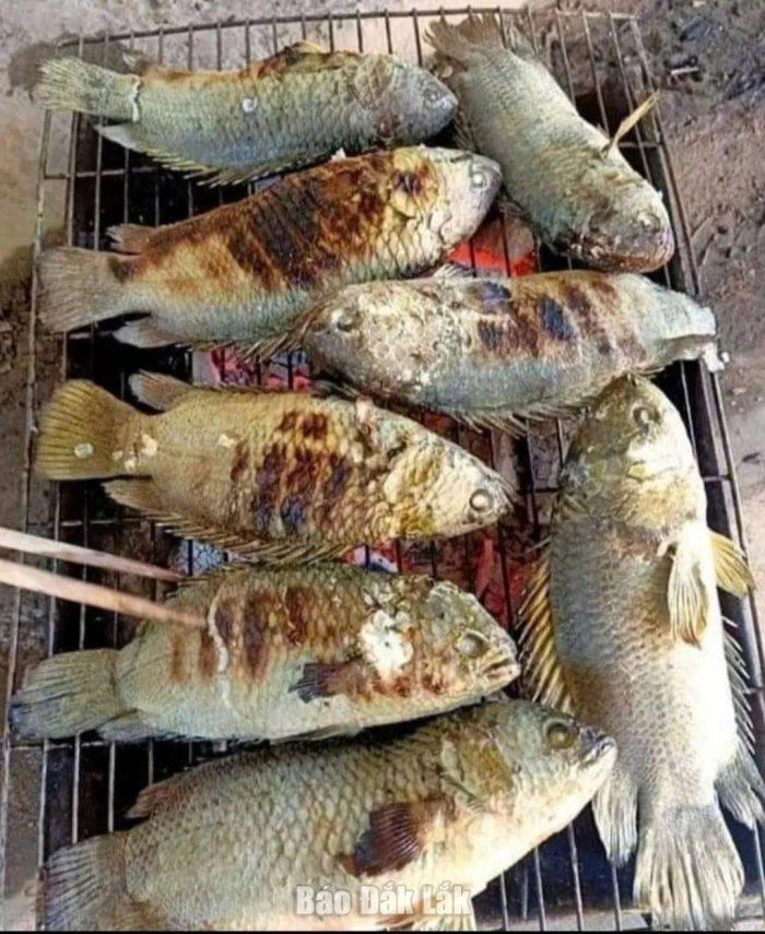 Nghe mưa nhớ món cá rô đồng