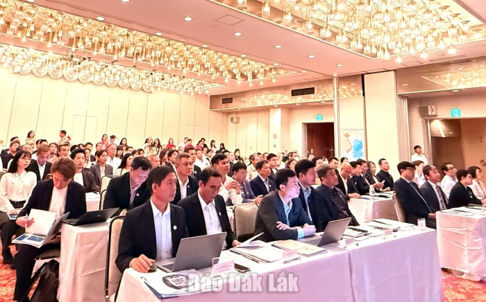 Kết nối doanh nghiệp tỉnh Đắk Lắk và Nhật Bản