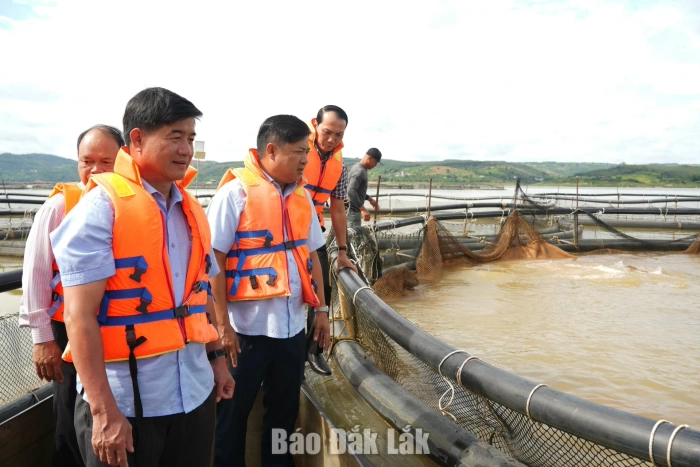 Standing Board of the Dak Lak Provincial Party Committee works in Nam Ka and Yang Mao communes