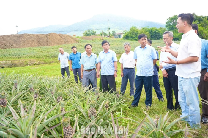 Bí thư Tỉnh ủy Lương Nguyễn Minh Triết: Xã Yang Mao cần tập trung toàn lực giảm nghèo, hoàn thành giải phóng mặt bằng đường Trường Sơn Đông