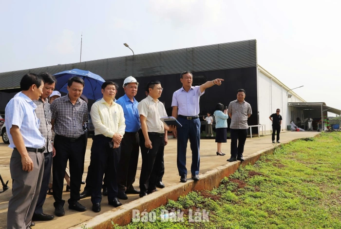Kiểm tra công tác quản lý, vận hành Cụm công nghiệp Krông Búk 1
